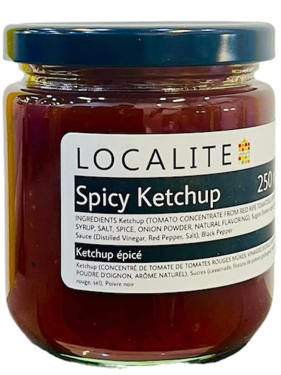 Spicy Ketchup 1 x 250ml